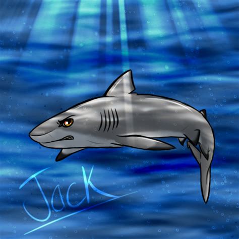 Jack The Black Shark Fan Art by timekept on DeviantArt