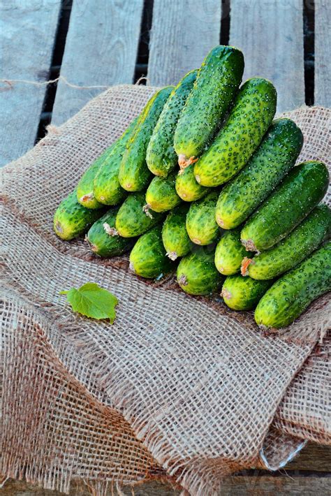 green cucumber fruit pattern natural fruit with clipping path on wood. 4714631 Stock Photo at ...