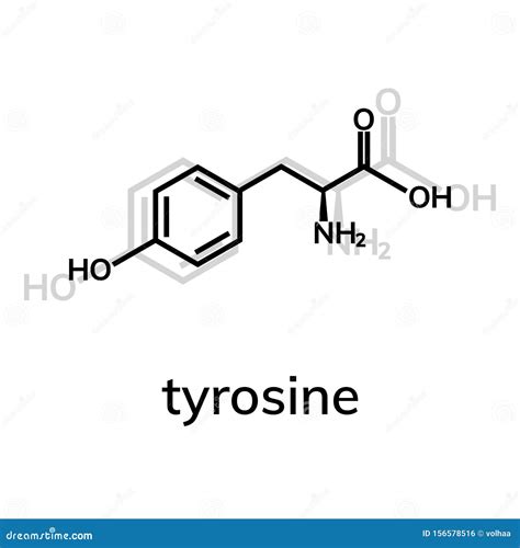 Tyrosine Or L-tyrosine, Tyr, Y, Amino Acid Molecule. Skeletal Formula ...