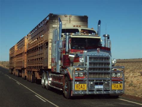 Cattle drive | Trucks, Train truck, Road train