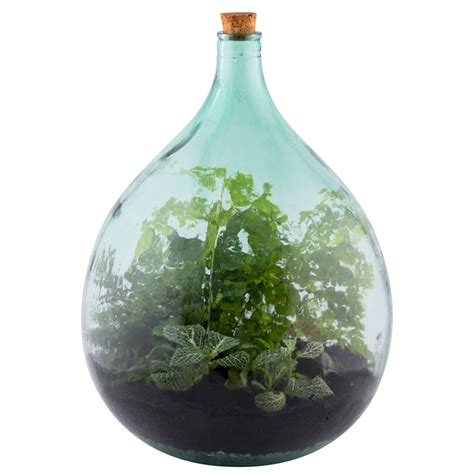 Terrariums – Terrascape Kuwait