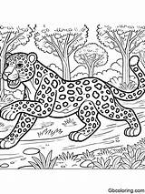 Free Printable Jaguar Coloring Pages For Kids  GBcoloring sketch template