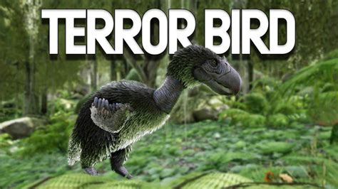 ARK: Terror Bird - How to Tame, Feed and Breed!