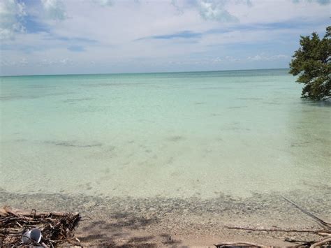 2.3 Acres in Sarteneja Village - Buy Belize Real Estate