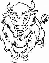 Buffalo Head Coloring Pages sketch template