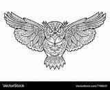 Coloring Pages Adults Owl sketch template