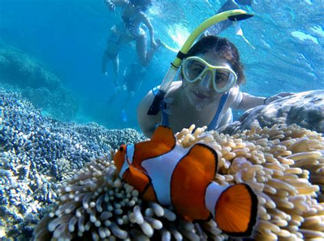 Pantai Ora Maluku: Info Biaya, Lokasi, dan Atraksi Wisata