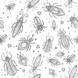 Bug Coloring Pages For Preschool sketch template