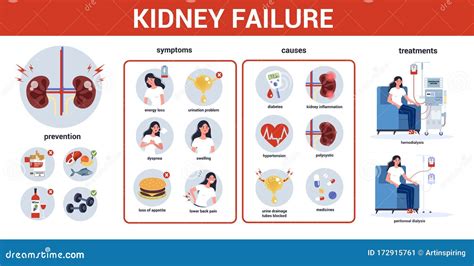 Kidney Failure Infographic Cartoon Vector | CartoonDealer.com #125972925