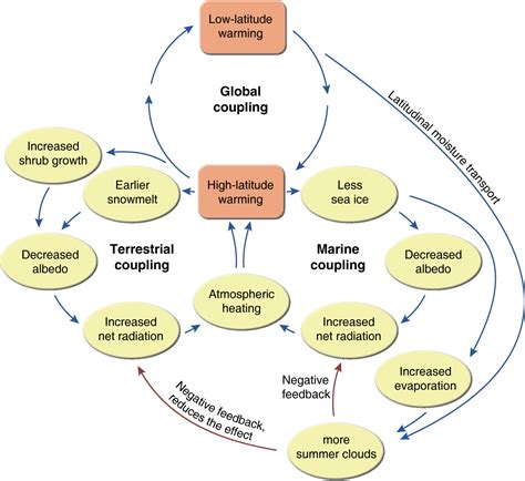 Causal Loop Diagram (CLD) of Climate | watersisweb | Earth system science, Systems thinking ...