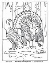 Realistic Coloring Pages Of Animals  Coloring Home sketch template