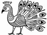 Graceful Peacock Coloring  Coloring Page sketch template