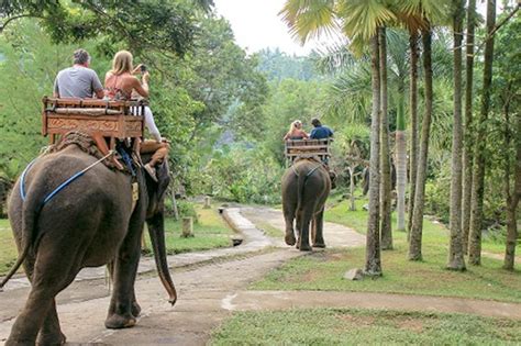 Elephant Ride Bali - Experience Bali with the Best Tour Packages from Local Experts