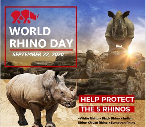 World Rhino Day 2020 | RHINOFIT | Gym Management Software for Health Clubs and Studios