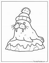 20 Arctic Animals Coloring Pages Free PDF Printables sketch template
