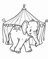 Elephant And Circus Tent coloring Page  Download Print Or Color sketch template
