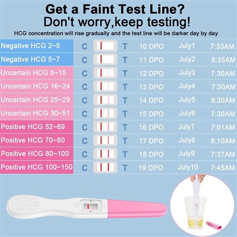 Docalon Early Pregnancy Test Kit - 2 Clear & Accurate At-Home Tests ...