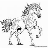 Mustang Horse Coloring Pages  Free & Printable sketch template