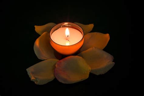 Free Images : flower, petal, flame, darkness, yellow, candle, lighting ...