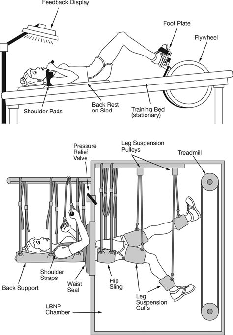 Line drawings of the exercise countermeasure devices used during 60... | Download Scientific Diagram