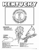 Kentucky State Coloring Book  Imprint Books sketch template