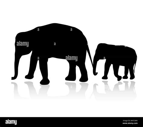 Elephant family silhouette isolated on white background vector Stock ...