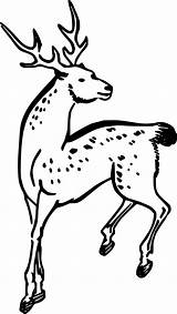 Beautiful Spotted Deer Coloring Pages  Cool sketch template