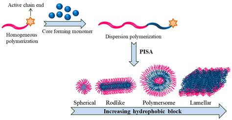 Polymers | Free Full-Text | Amphiphilic Block Copolymers: Their Structures, and Self-Assembly to ...