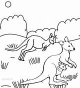 Printable Kangaroo Coloring Pages For Kids  Cool2bKids sketch template