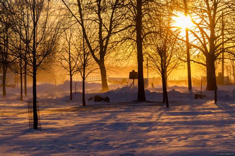 A Cold Wind – Lagoon Report -- Toronto Island Photography