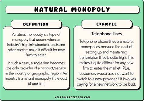 10 Natural Monopoly Examples (2024)