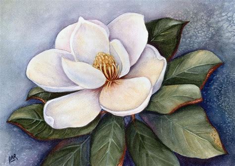 Magnolia Blossom Iv Painting by Barbara Ann Robertson