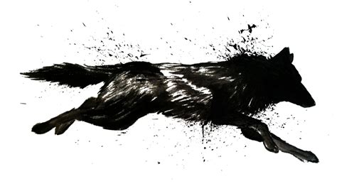 Dog Arctic wolf Wolf Walking Black wolf Drawing - wolf png download - 1024*583 - Free ...