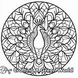 Peacock Mandala Coloring Pages  Free & Printable sketch template
