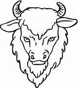 Free Buffalo And Bison Coloring Pages sketch template