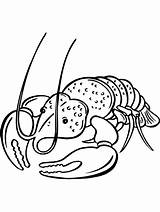 Realistic Lobster coloring Page sketch template