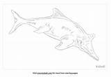 Ichthyosaurus Coloring Page sketch template