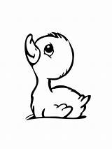 Duckling coloring pages sketch template