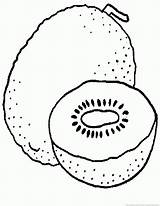 Kiwi Coloring Pages To Download And Print For Free sketch template