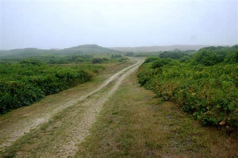 The Vineyard Gazette - Martha's Vineyard News | Major Pledge Bolsters ...