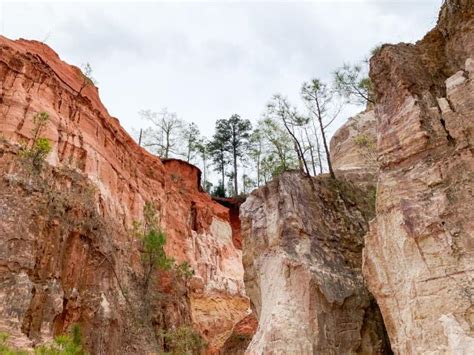 Hiking the Little Grand Canyon in Georgia - Next Stop Adventures