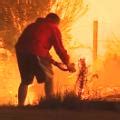 Man rescues wild rabbit from blaze - CNN Video