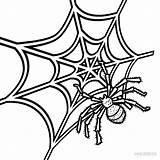 Printable Spider Web Coloring Page sketch template
