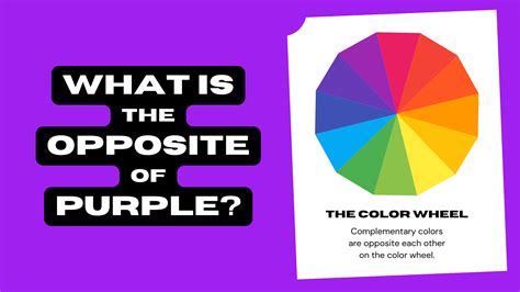 What Is the Opposite of Purple? (Complementary Color) - Color Meanings