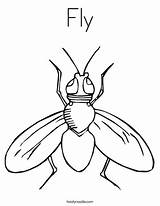 Fly Coloring Page At GetColoringscom  Free Printable Colorings Pages sketch template