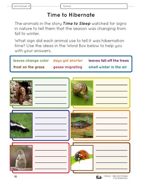 Animal Adaptations - Worksheets Library