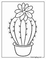 30 Cactus Coloring Pages Free Printable PDFs sketch template