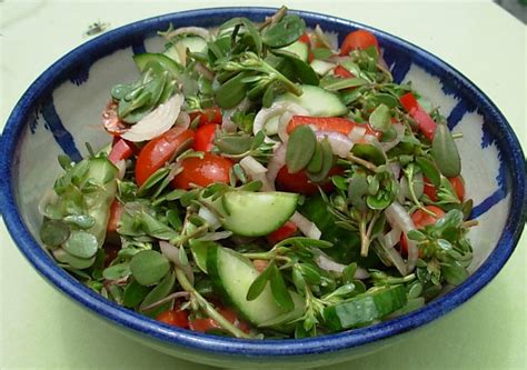 From Kirsten's Kitchen to Yours: Purslane aka Pigweed Salad