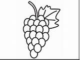 Coloring Page Grapes Free Printable Pages Im  Vrogueco sketch template