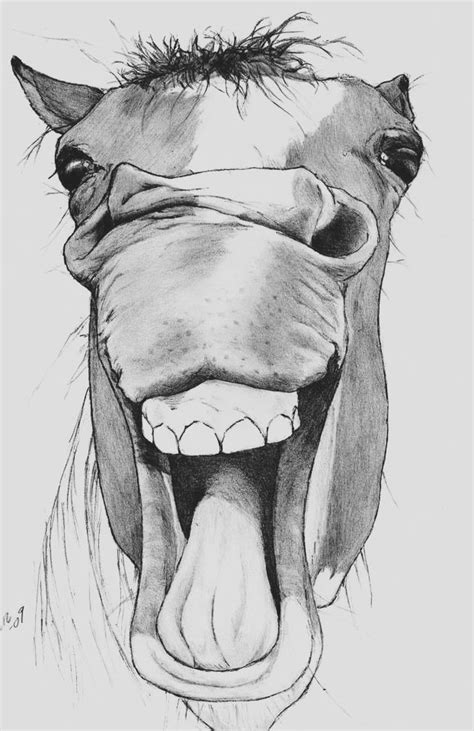 a drawing of a horse's head with it's mouth open and tongue out